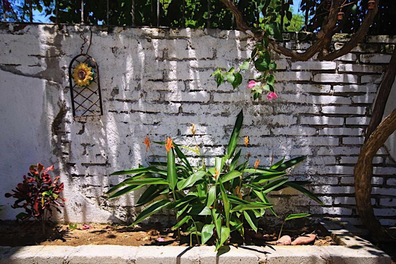 Apartmán Casita Piedra Puerto Escondido  Exteriér fotografie